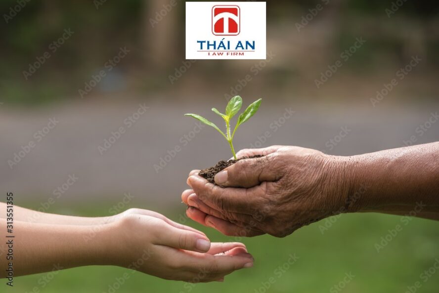 Luật Thái An – Sự bền bỉ của một thương hiệu luật được tin cậy