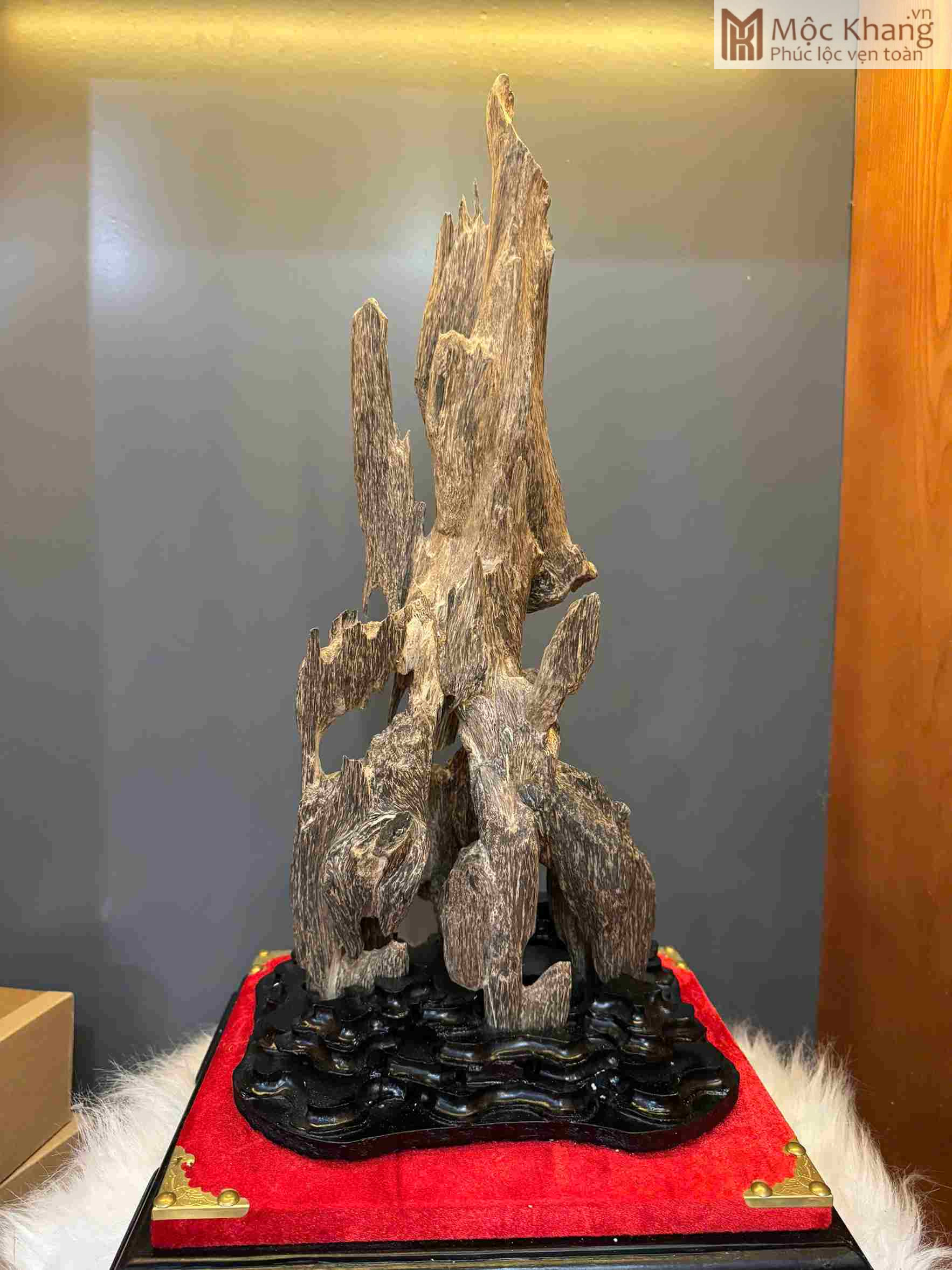 Mộc Khang – Gửi trọn tinh hoa thiên nhiên trong từng sản phẩm